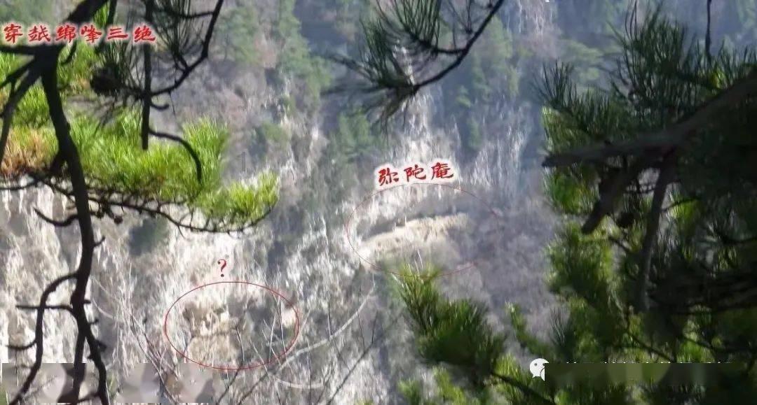 上海这场车祸太离奇！谁也说不清怎么发生的…