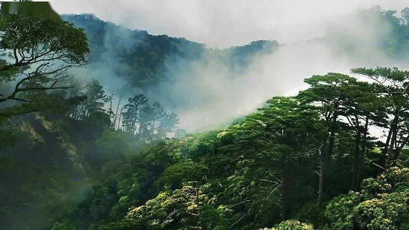 沉浸式休闲业态，成为培育新型业态、拉动文旅消费的重要力量