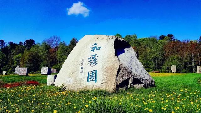 因安全气囊隐患,丰田汽车敦促5万名美国车主暂停驾驶车辆