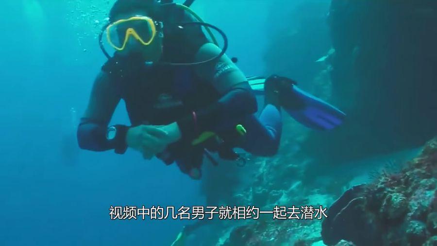 节度使手握49万大军?唐朝禁军才12万,为了争夺世袭权不得不反