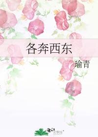 交通公路赛车手