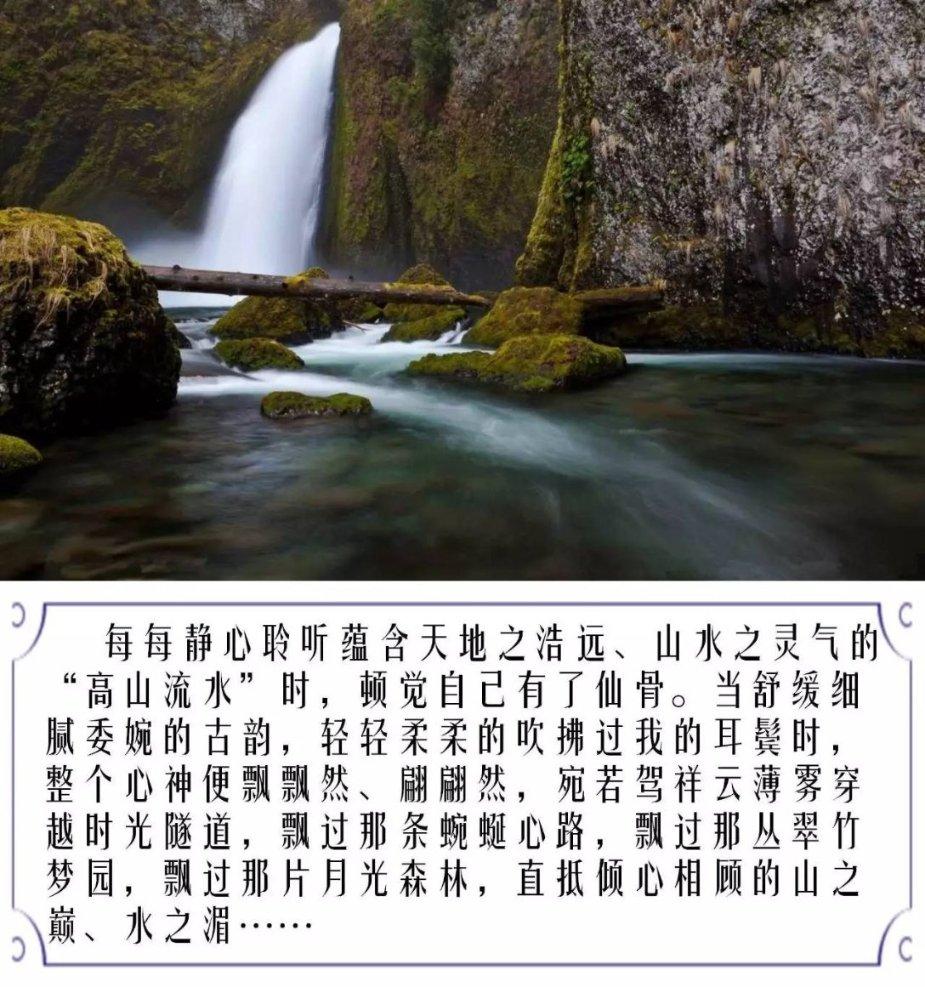 两会之声|金洪飞委员:可通过稳就业、缩小收入差距等四方面提振消费