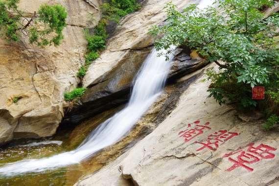 湖北日报|省人大代表余文新——躬身履职践初心 一枝“黄梅”绽新芽