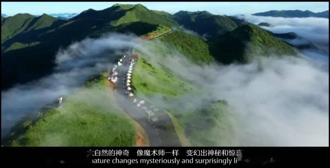 脑洞小老弟无实名认证