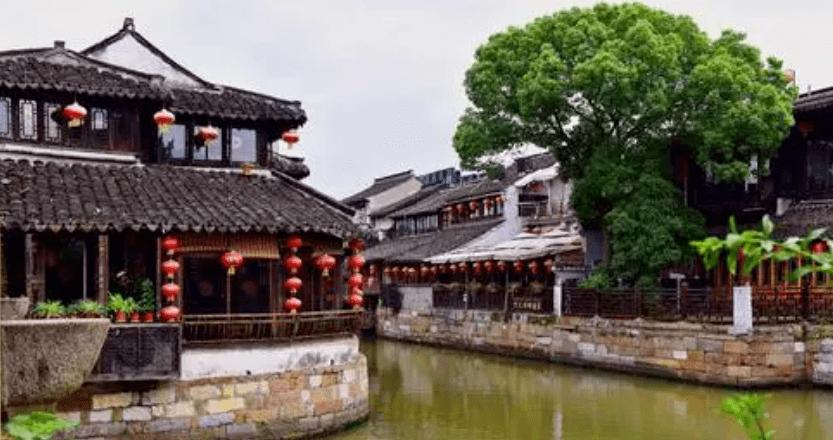 寻找萌小老虎